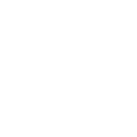 财务与报表统计